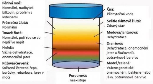 barva moči barva moči